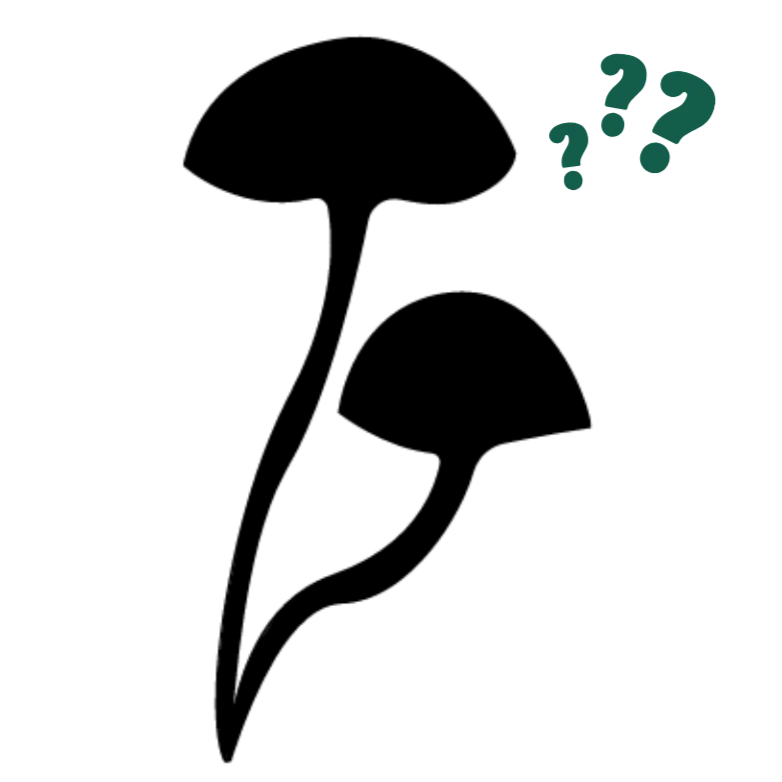 FREE Mystery Gifts - Image 2
