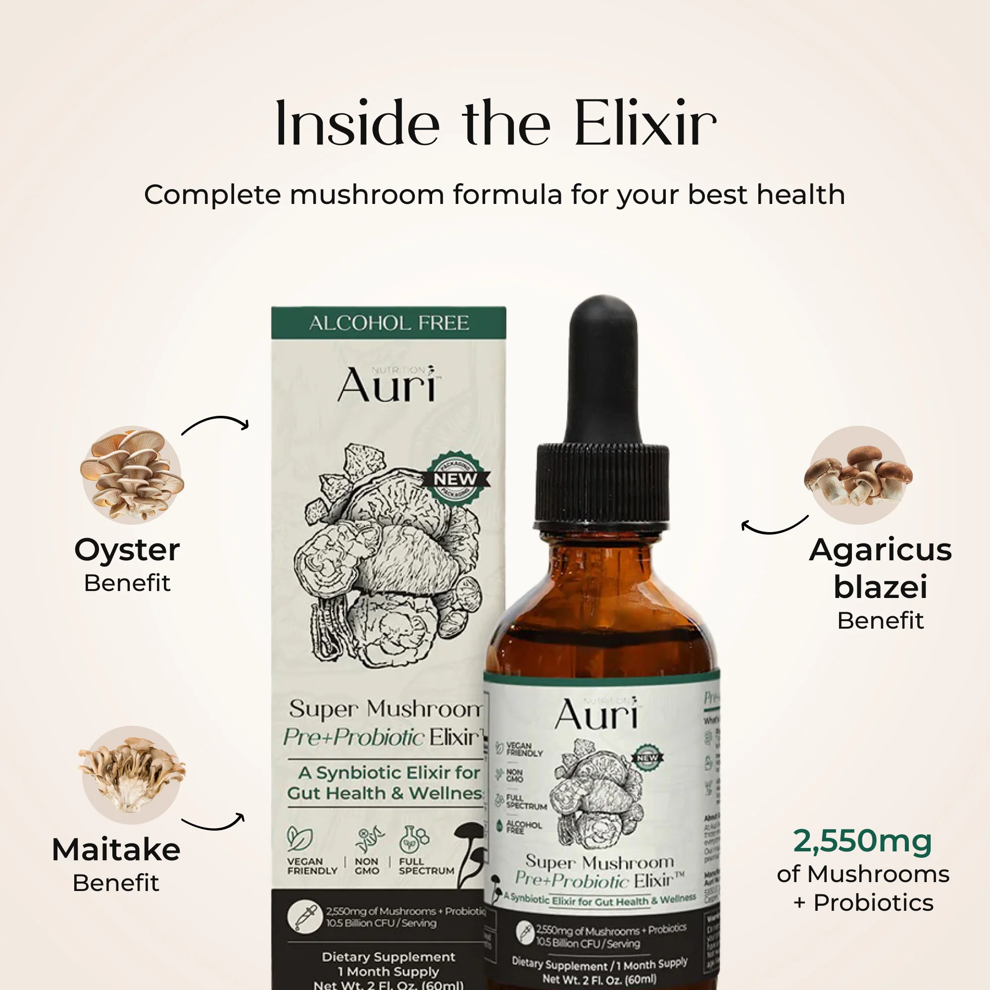 Super Mushroom Pre+Probiotic Elixir™ - Image 3