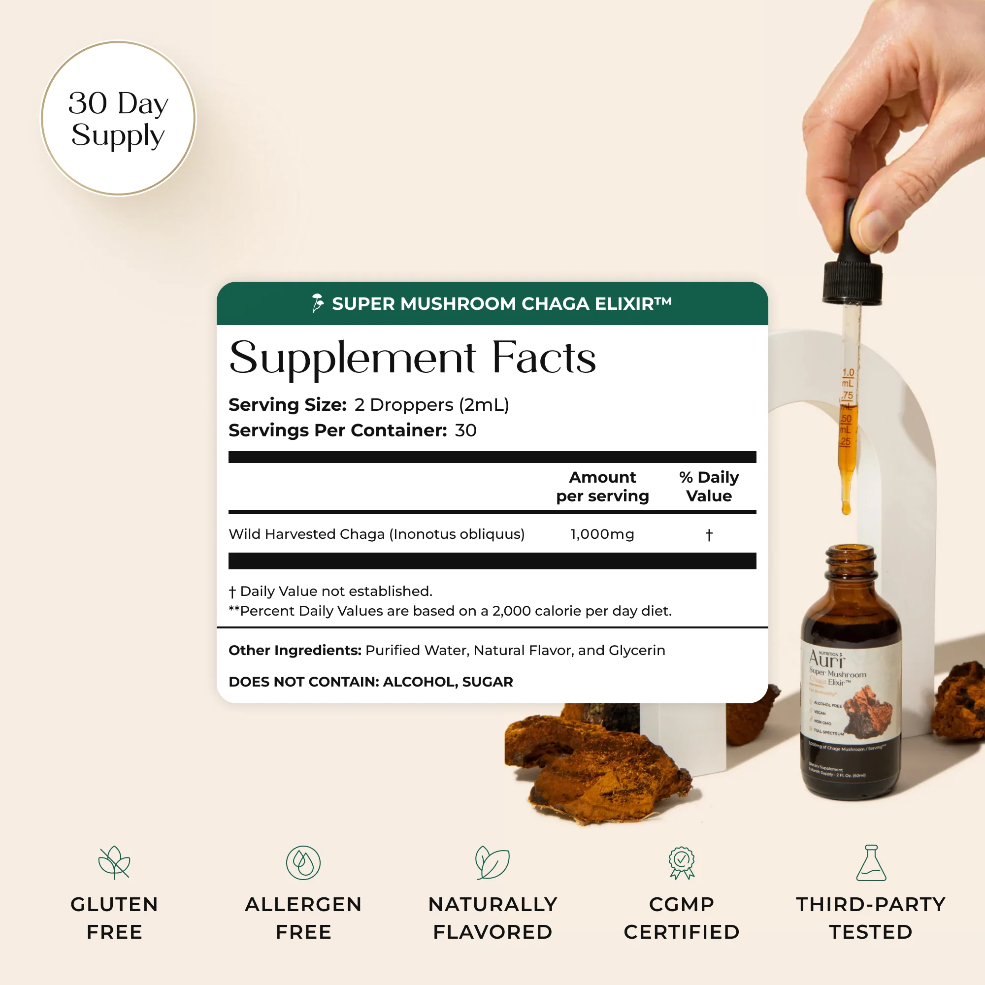 Super Mushroom Chaga Elixir™ - Image 6