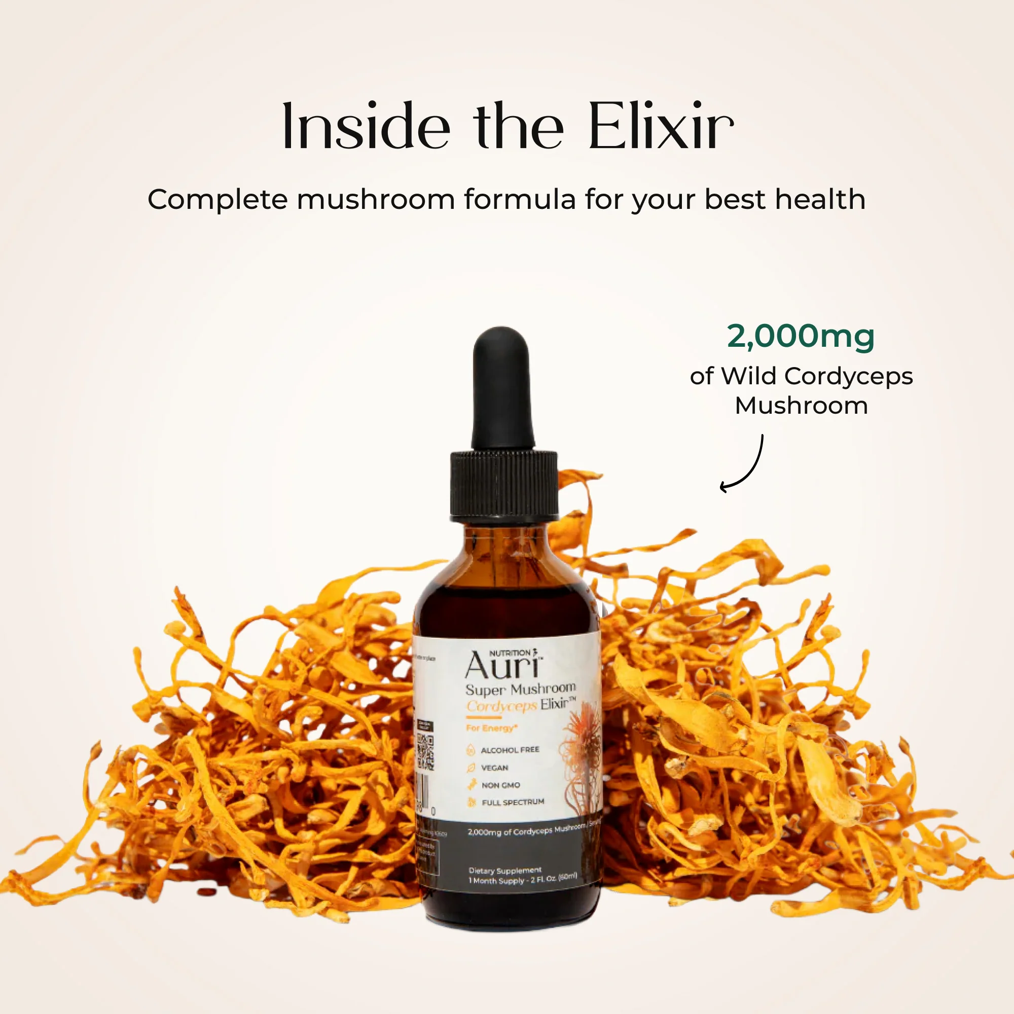 Super Mushroom Cordyceps Elixir™ - Image 3