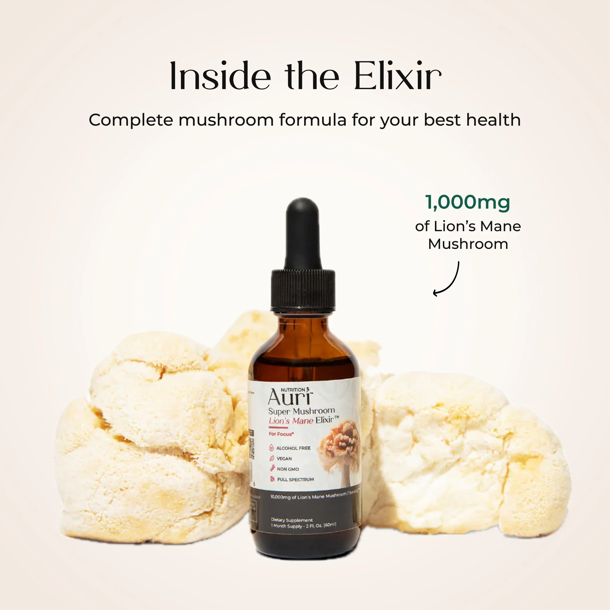 Super Mushroom Lion's Mane Elixir™ - Image 3